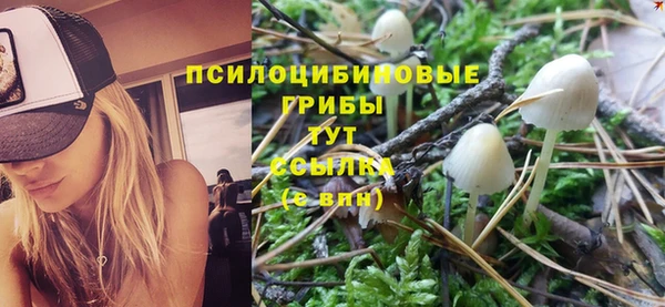 apvp Михайловка