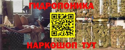 прущая мука Кингисепп
