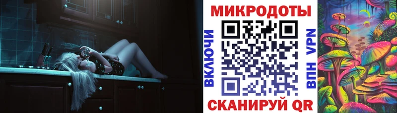 Галлюциногенные грибы Psilocybe  Арсеньев 